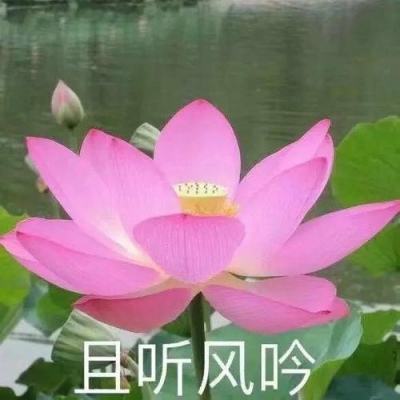 10月制造业采购经理指数升至临界点以上，经济景气水平回升向好